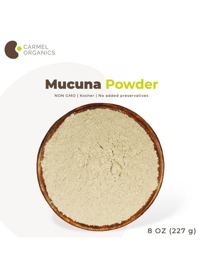CARMEL ORGANICS CARMEL ORGANICS Mucuna Pruriens Natural (White) Seeds Powder 8 Ounce or 0.5 Lb/227 Grams | Non GMO | Kosher | Kapikachhu Powder | No Added Preservative  - Image 4