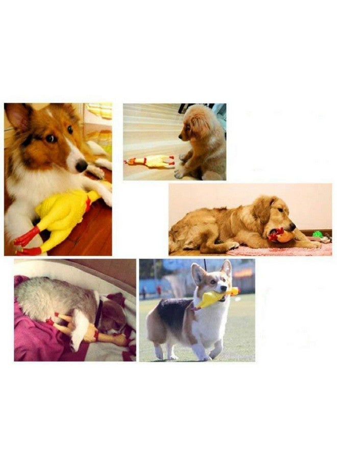 ألعاب عضاضة تصدر صوت صرير للكلاب والجراء - دمبل يصدر صوت صرير، كرة متعددة الألوان، دجاج يصدر صوت صرير، عظمة حمراء (عبوة من 4 قطع) متعددة الألوان - Image 4