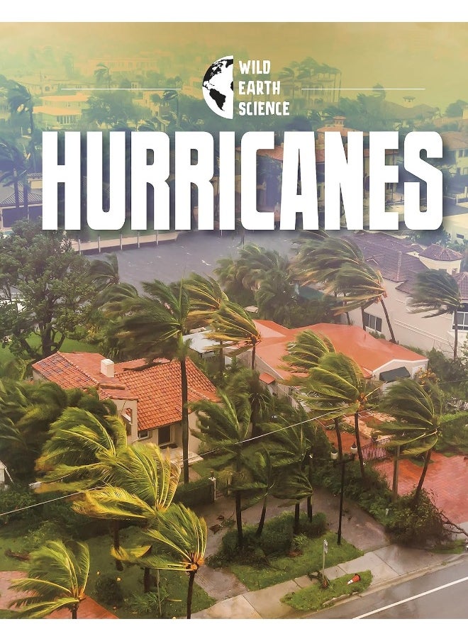Hurricanes  - Image 5