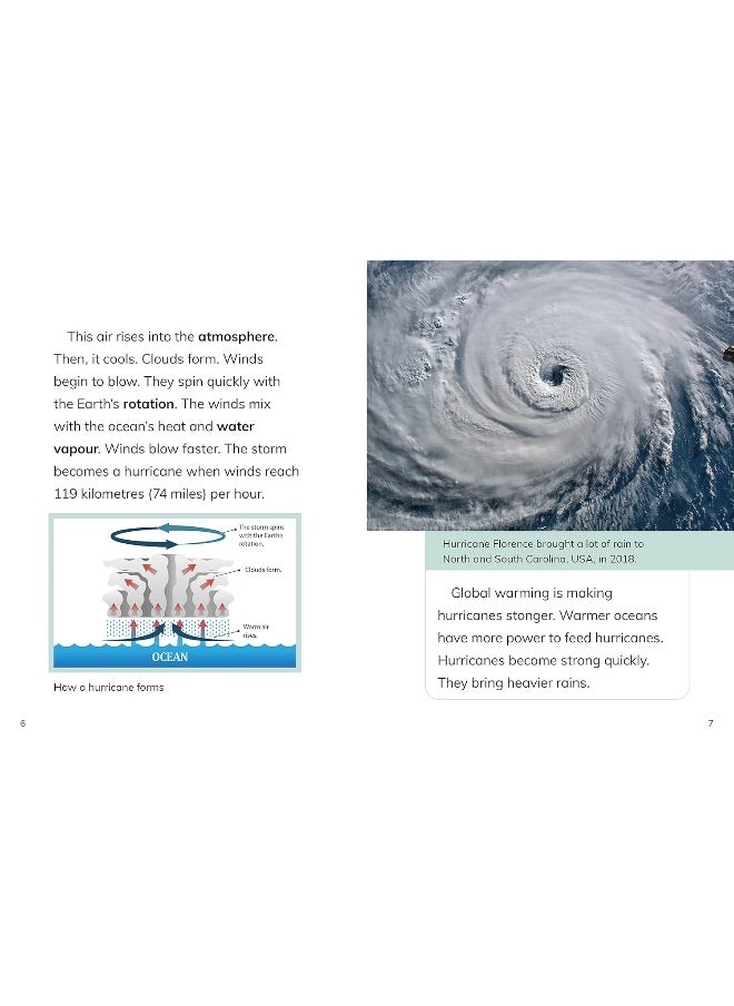 Hurricanes  - Image 4