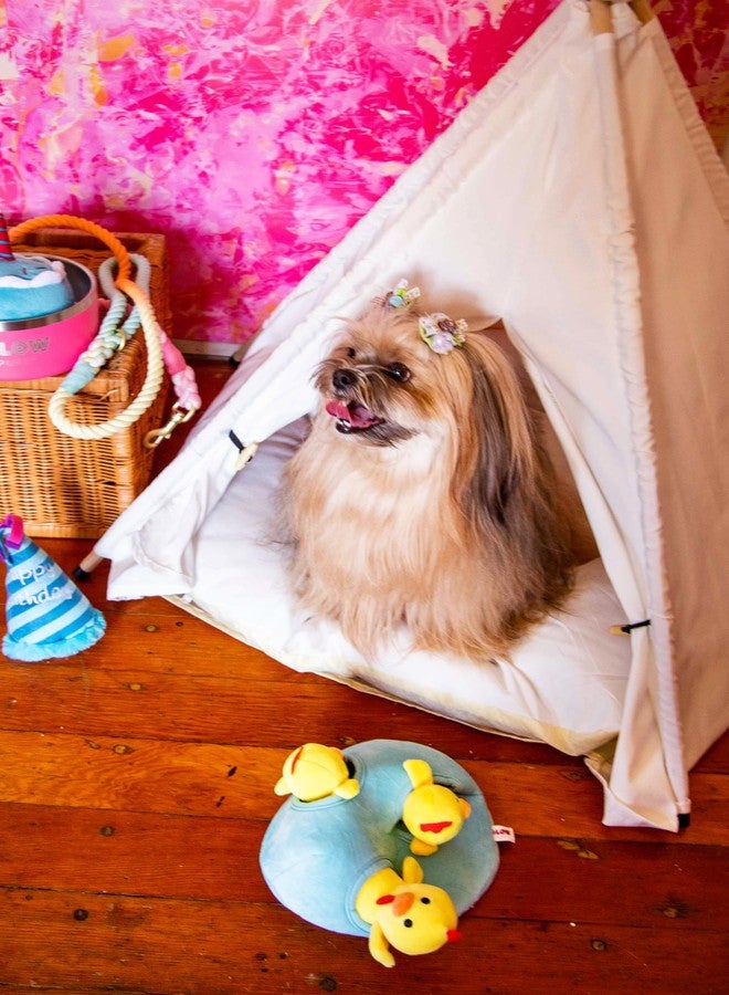 Glow Pups لعبة تفاعلية للكلاب من Glow Pups على شكل دجاجة وبيضة، لعبة الاختباء والبحث مع صفارة، تعزز التحفيز العقلي، 7 × 6 بوصات (بيضة و3 دجاجات، أزرق وأصفر) - Image 4