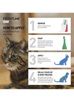 Frontline FRONTLINE Plus Flea & Tick Treatment for Cats and Ferrets - 3 Pipettes, Flea And Tick Treatment For Cats and Ferrets, Frontline for Cats  - Image 2