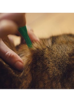 Frontline FRONTLINE Plus Flea & Tick Treatment for Cats and Ferrets - 3 Pipettes, Flea And Tick Treatment For Cats and Ferrets, Frontline for Cats  - Image 3