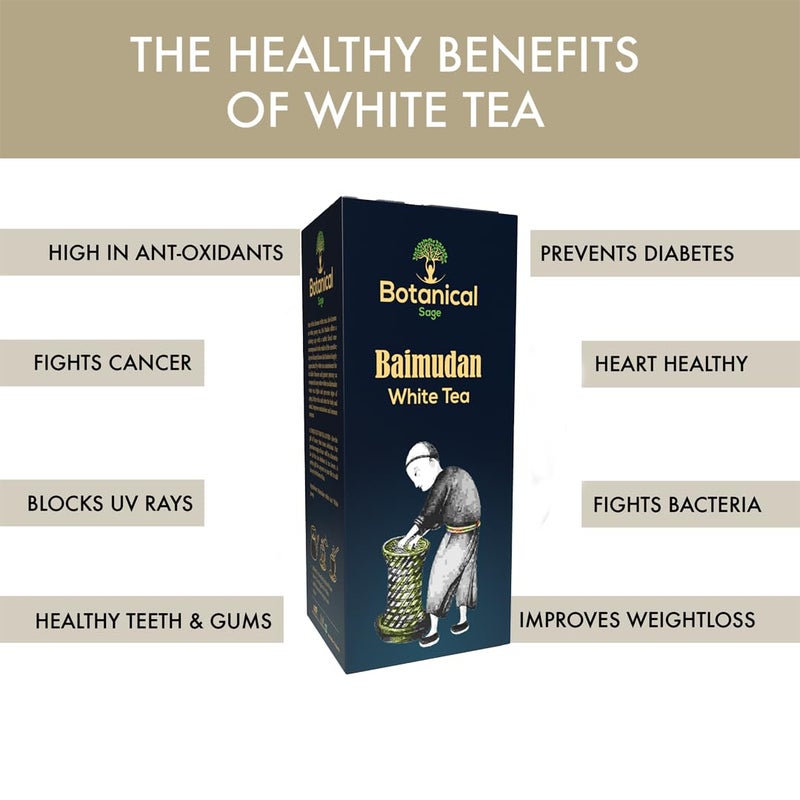 Botanical Sage- Baimudan/White Peony Tea 30 Pyramid Tea Bags | White tea | Selected | Luxury - Image 3