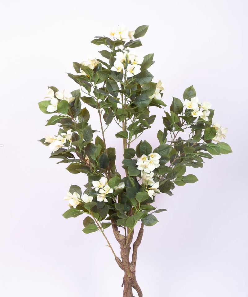 Home Bloom Artificial White Bougainvillea Plant With Pot - 4.2 Feet | Realistic Plant - Trees - Flowers | Indoor Tropical | Home - Shop - Office | Gifting - Décor - Ambience - Durable | No Maintenance - Image 2