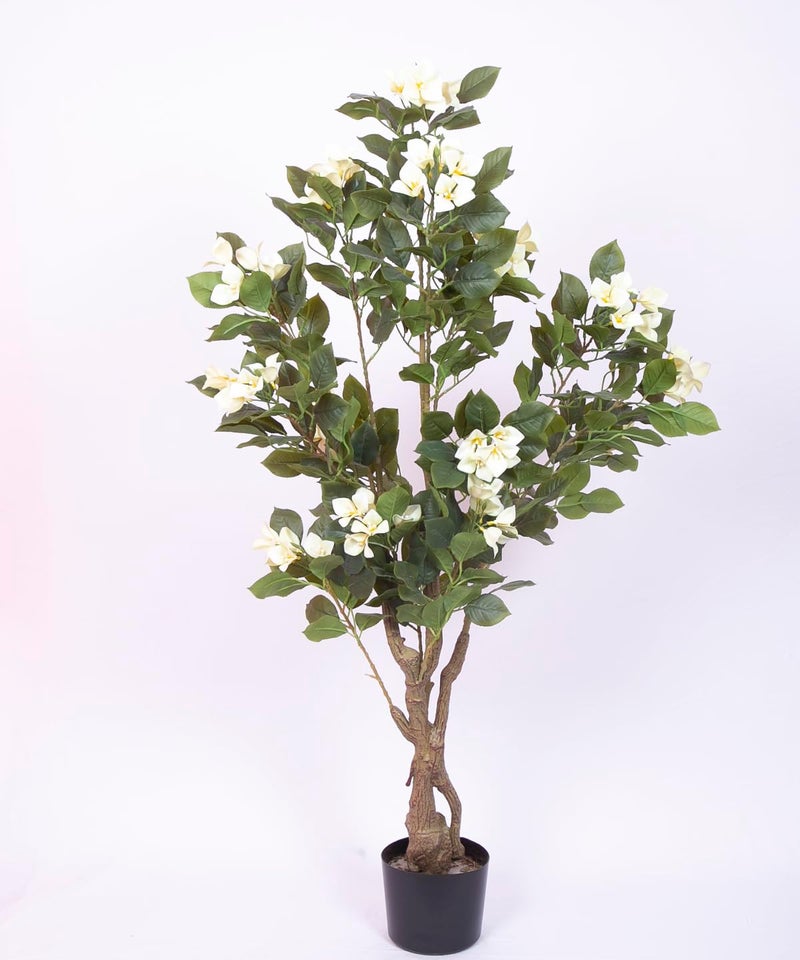 Home Bloom Artificial White Bougainvillea Plant With Pot - 4.2 Feet | Realistic Plant - Trees - Flowers | Indoor Tropical | Home - Shop - Office | Gifting - Décor - Ambience - Durable | No Maintenance - Image 3