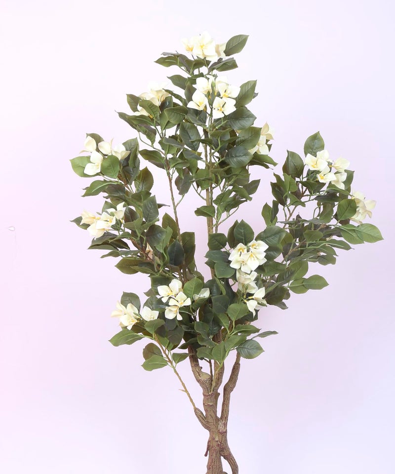 Home Bloom Artificial White Bougainvillea Plant With Pot - 4.2 Feet | Realistic Plant - Trees - Flowers | Indoor Tropical | Home - Shop - Office | Gifting - Décor - Ambience - Durable | No Maintenance - Image 4