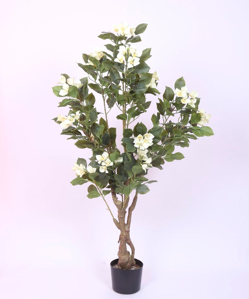 Home Bloom Artificial White Bougainvillea Plant With Pot - 4.2 Feet | Realistic Plant - Trees - Flowers | Indoor Tropical | Home - Shop - Office | Gifting - Décor - Ambience - Durable | No Maintenance - Image 5