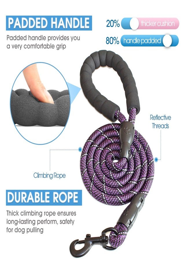 BAAPET 2/4/5/6 FT Dog Leash with Comfortable Padded Handle and Highly Reflective Threads for Small Medium and Large Dogs (5FT-1/2'', Black Purple) - Image 2