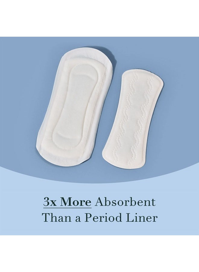 Rael - Incontinence Liners for Women, Organic Cotton Cover - Postpartum Essential, Regular Absorbency, Bladder Leak Control, 4 Layer Core with Leak Guard Technology, (Long, 36 Count) - Image 1