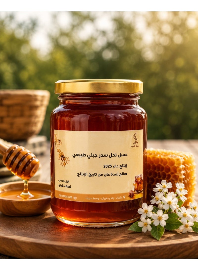 Sidr Mountain Honey from Sinai Turquoise 500 grams - Image 2