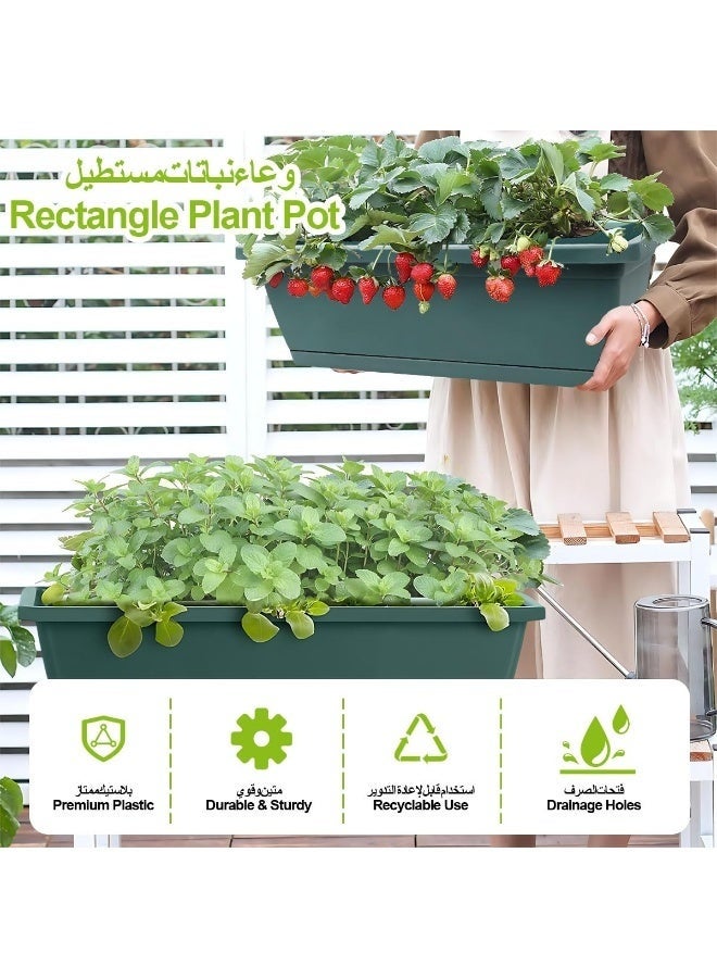 Arabest Window Planter Box, 6 PCS Rectangle Plant Pot, with Drainage Holes & Removable Trays, Self Watering Succulent Planter Box, Windowsill Herb Flower Pot, Plastic Plant Container for Balcony Garden(42x17.5x14cm) - Image 2