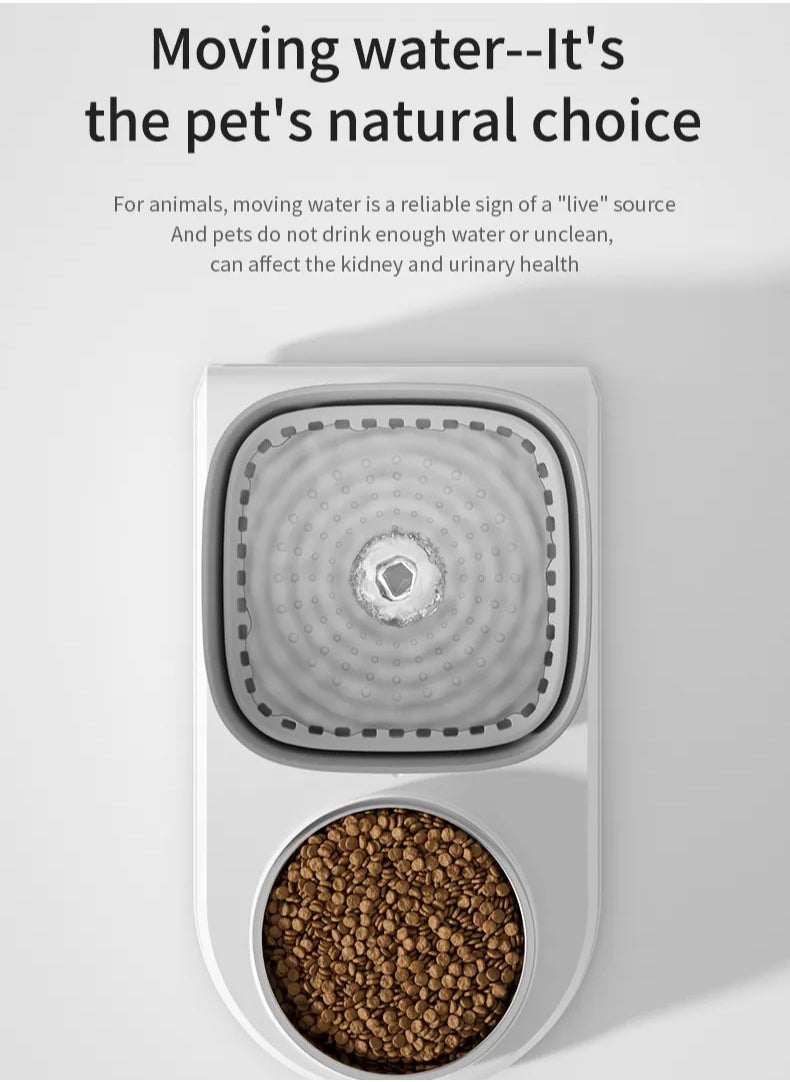 HAPPY PUSS - Automatic pet food and water dispenser - Image 1