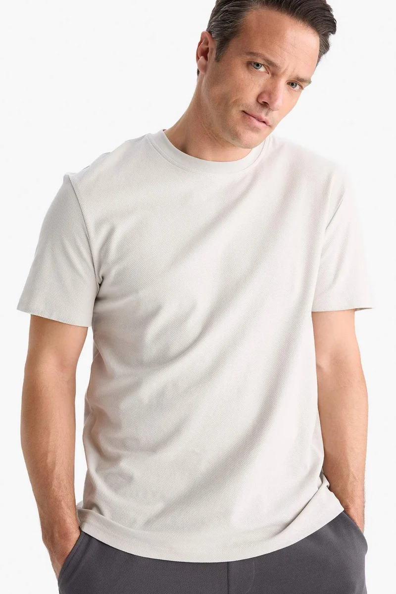 DeFacto Cotton Regular Fit Crew Neck Heavy Fabric T-Shirt