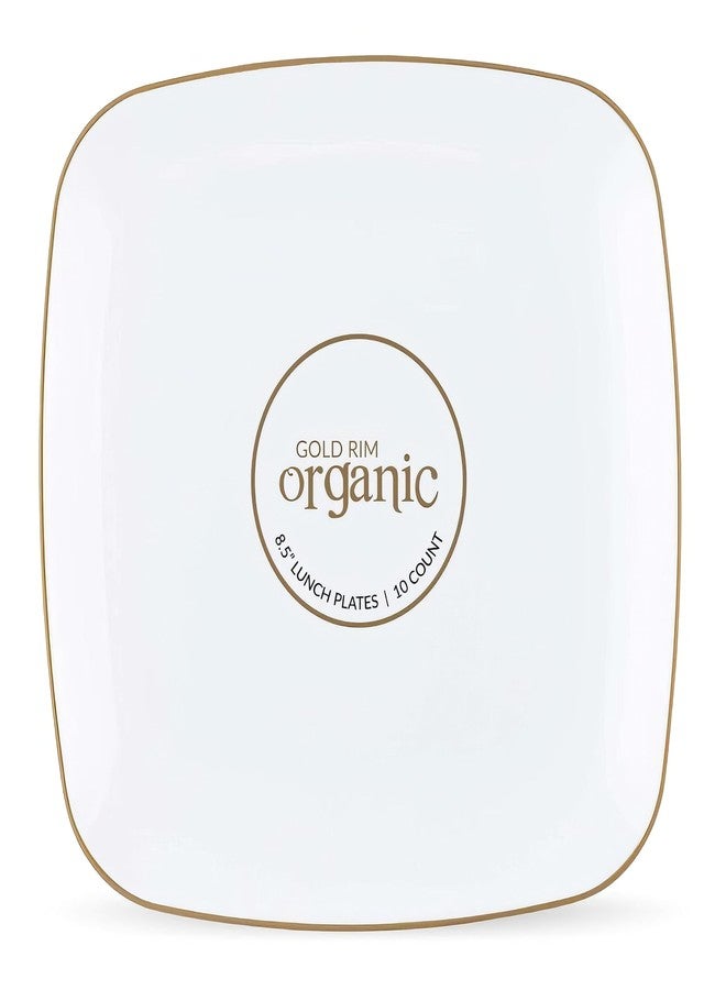 Blue Sky Organic White Disposable Plates 8.5" Square (10 Count) | Gold-Rimmed Plastic Dinnerware Party Essentials - Image 4