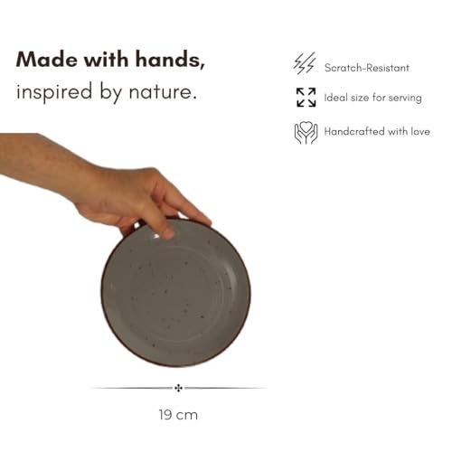 Beyond Homes Ceramic Dinner Plates Set of 6, 19 cm | Matte Finish | Microwave & Dishwasher Safe Ceramic Snack Plates for Dinner | Chip-Resistant | Set of 6, Grey with Brown Ring - Image 2