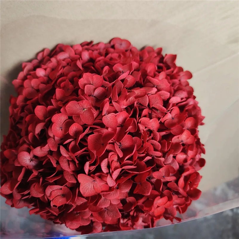 Bluejw Real 20-25cm Dried Hydrangea Flower Branches Natural Preserved Eternal Blooms for Wedding Decor Valentine's Day Graduation Christmas & More Dried Plants - Image 3