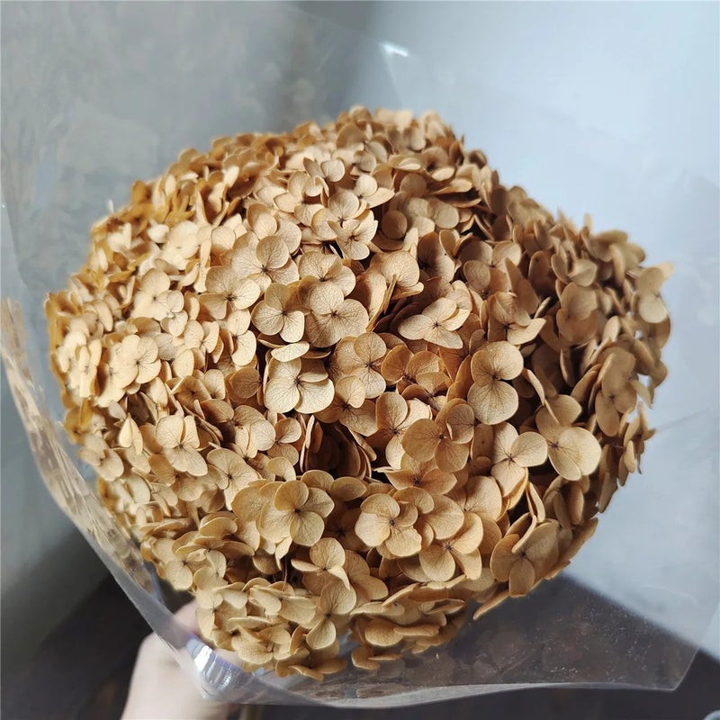 Bluejw Real 20-25cm Dried Hydrangea Flower Branches Natural Preserved Eternal Blooms for Wedding Decor Valentine's Day Graduation Christmas & More Dried Plants - Image 4
