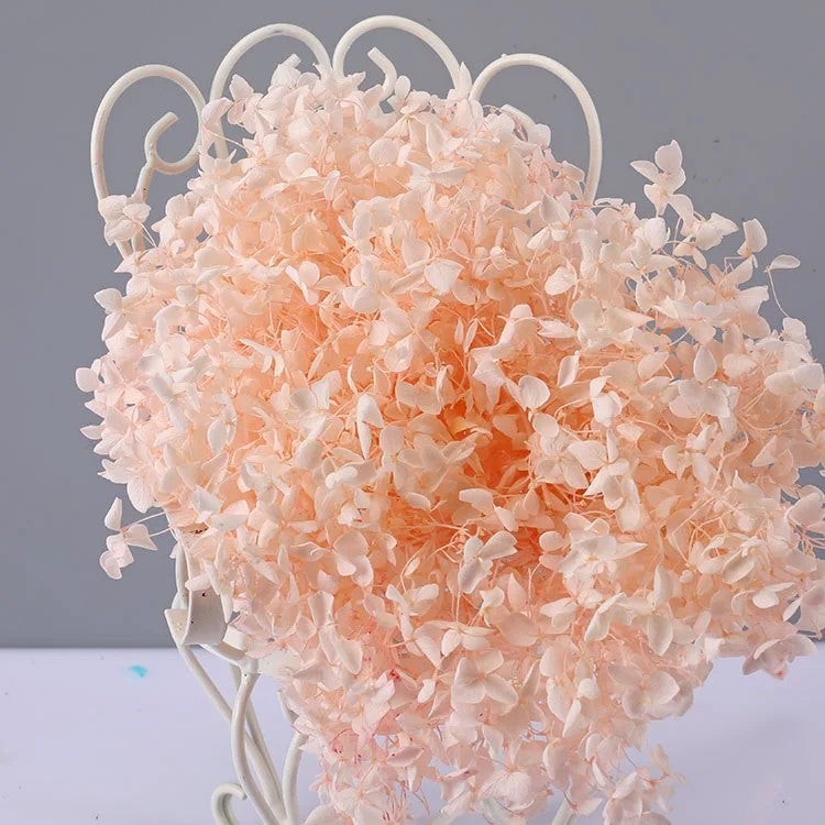 Bluejw Real 20-25cm Dried Hydrangea Flower Branches Natural Preserved Eternal Blooms for Wedding Decor Valentine's Day Graduation Christmas & More Dried Plants - Image 1