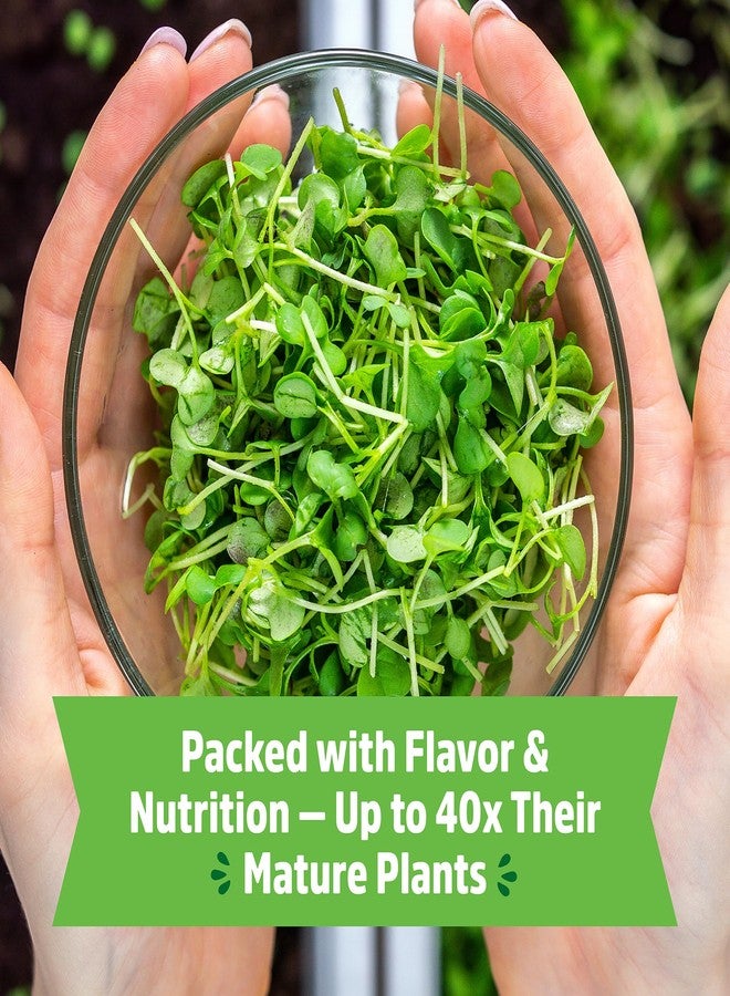 Back to the Roots 43002 Organic Microgreens Grow Kit with Ceramic Planter - Image 5