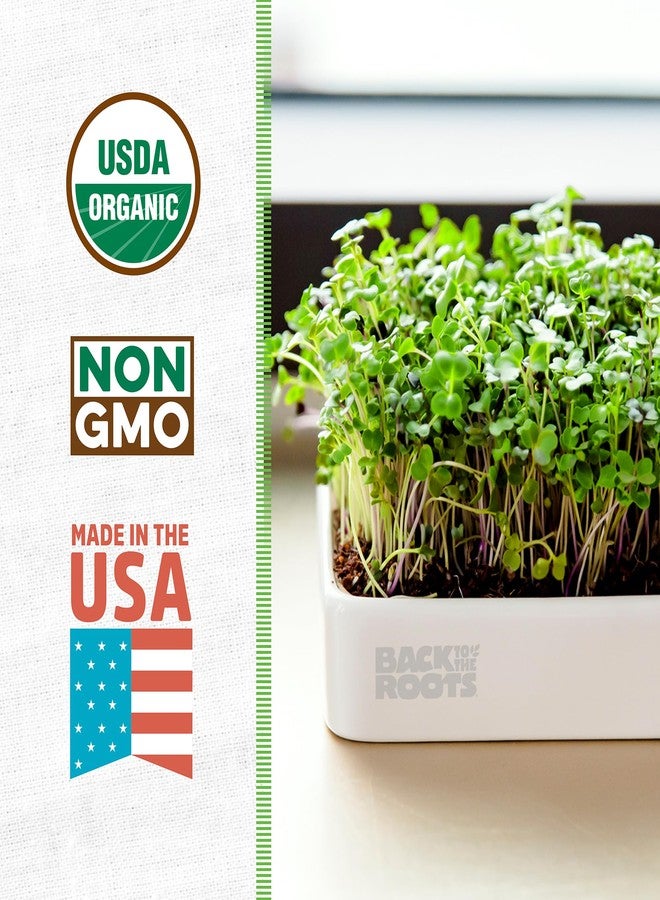 Back to the Roots 43002 Organic Microgreens Grow Kit with Ceramic Planter - Image 2