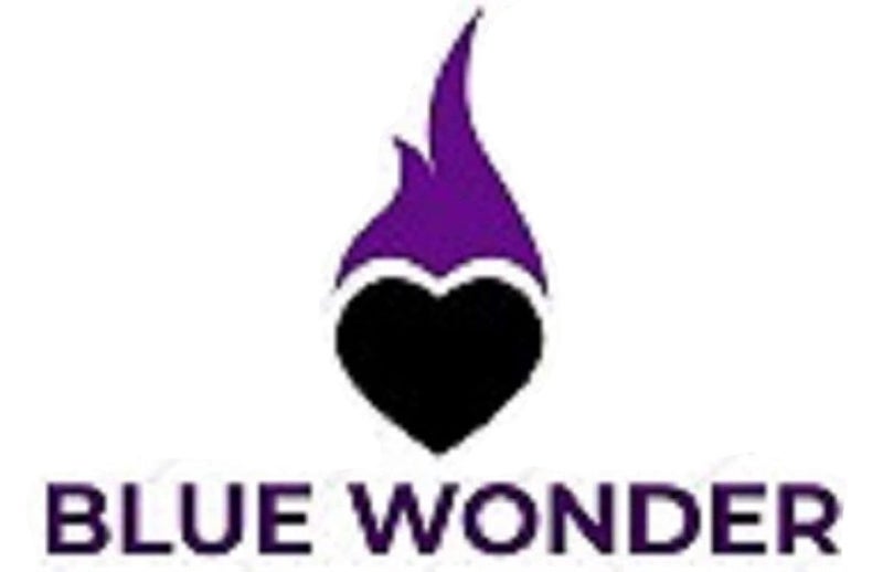 BLUE WONDER BLUE WONDER Stainless Steel Net Cover 10 No and Multicolour Pack of 2  - Image 3