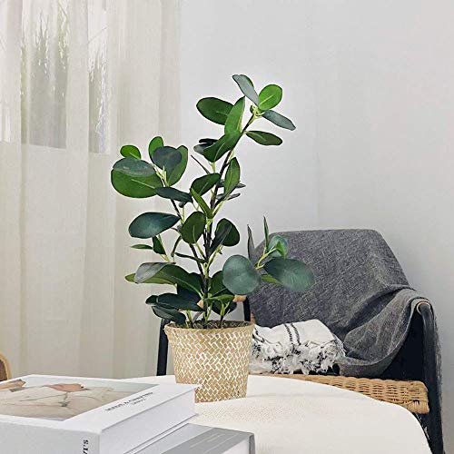 SAROSORA Artificial Ficus Tree Small Fake Plants in Weaved Pot 20" Height for Living Room Desktop Decor Indoor Home Office Ins Style (Green, 1) - Image 5