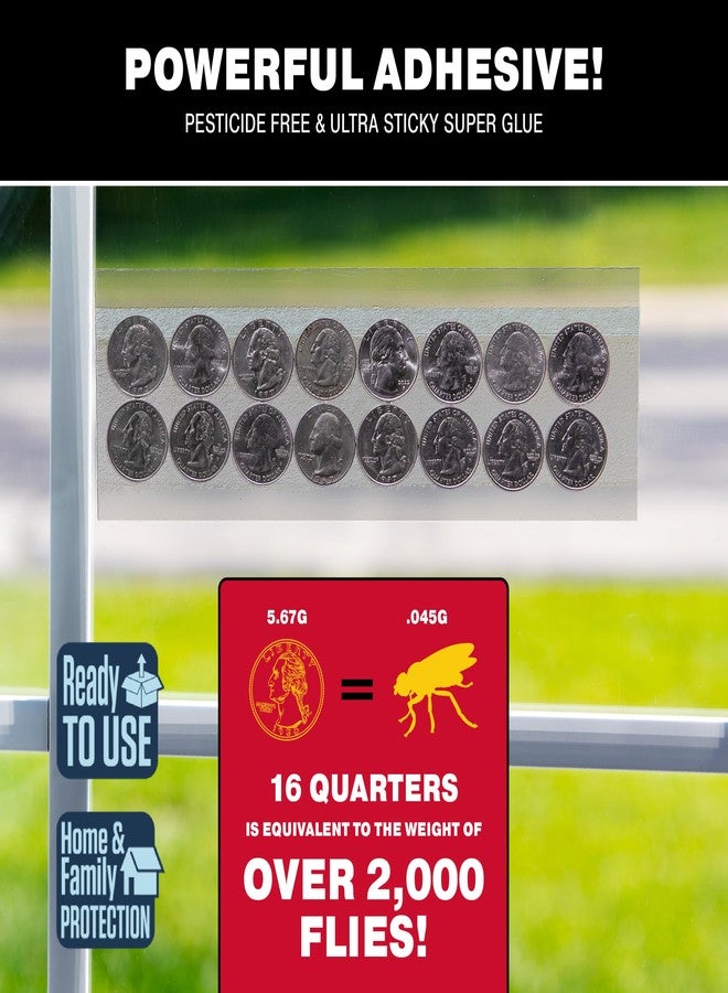 Catchmaster 904-12 Clear Window Fly Trap, 12-Pack - Image 2