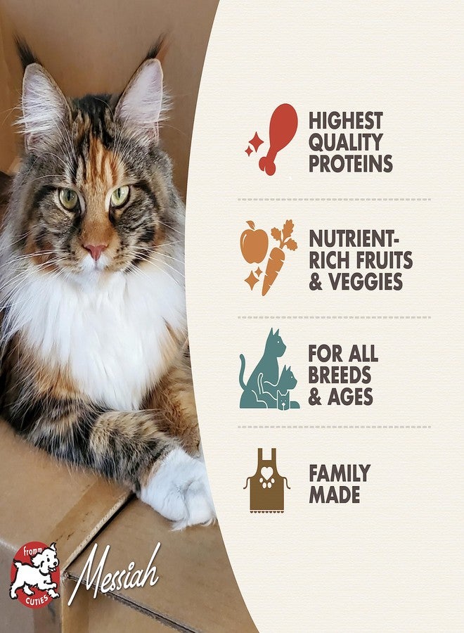 Fromm Four-Star Nutritionals Grain-Free Game Bird Dry Cat Food (4 lb) - Image 3