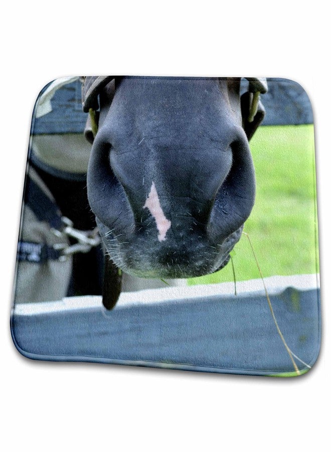 3dRose Horse Muzzle with hay Fence - Bathroom Bath Rug Mats (rug-196169-1) - Image 1