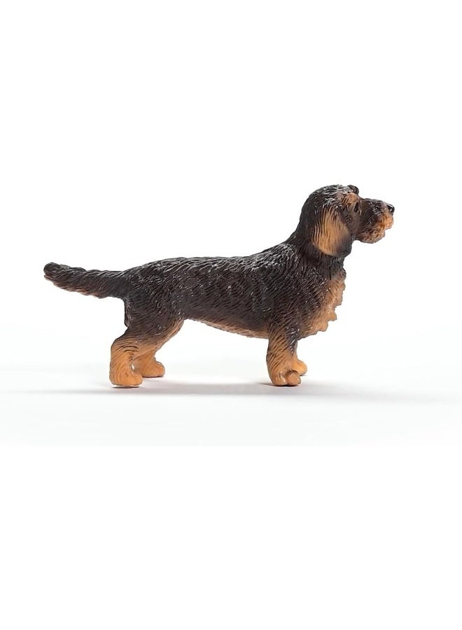 Schleich تمثال كلب داشهند ذو الشعر الخشن من فارم وورلد (6.6 × 2.03 × 3.81 سم، بني) - Image 2
