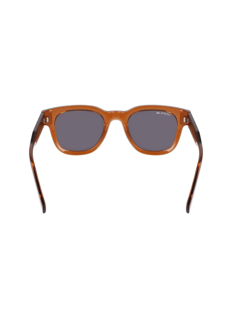LACOSTE - إطار كامل بيو إنج - G820 بيضاوي لاكوست نظارات شمسية L6023S 4921 (210) بني - Image 1