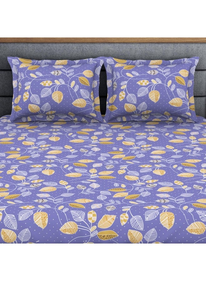 Welspun Plycotton King Double Flat Bedsheet | Soft Feel Wrinkle Resistance | 200 Thread-Count Violet Bed Sheet with 2 Pillow Covers | Size: 274 Cm X 274 Cm/ 43Cm X 68Cm - Image 4