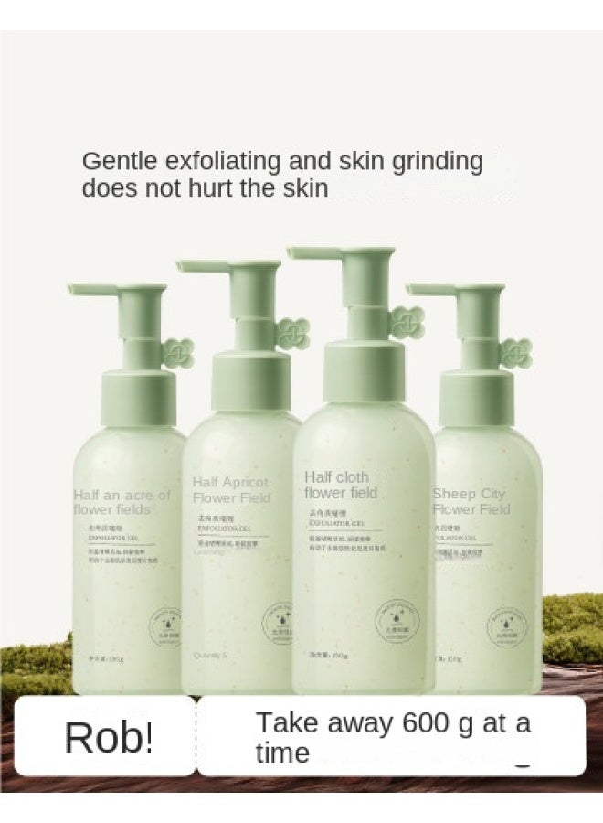 Exfoliating Gel Bulk Pack Of 4 - Salicylic Acid Deep Cleansing, Dead Skin Removal, Exfoliating, Pore Cleansing Facial Wash - Image 1