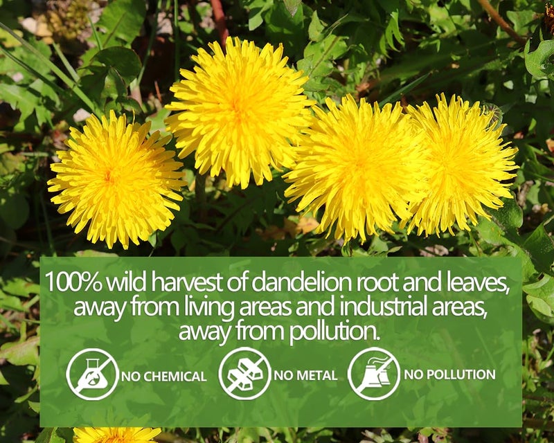 ULTHMOK Premium Dandelion Leaf & Root Tea,100 Tea Bags/7.06Oz,for Liver & Kidney Health,Roasted Detox Herbal Tea. Support Digestion & Boost Immune System, Caffeine Free. - Image 4