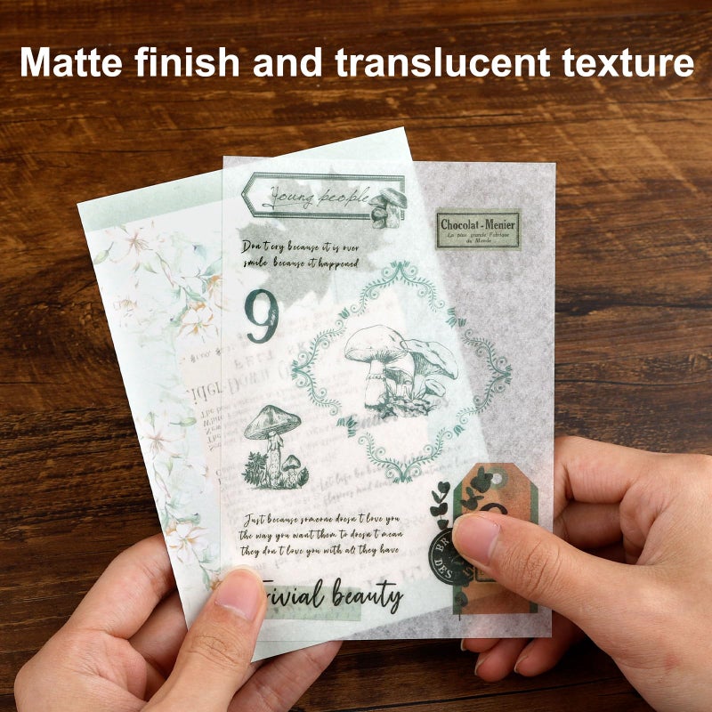 Dizdkizd Botanical Washi Stickers for Journaling, Ephemera Sticker Book for Junk Journal with 180pcs Plant Washi Stickers and 20 Adhesive Scrapbook Sticker Sheets, Vintage Scrapbooking Supplies - Image 4