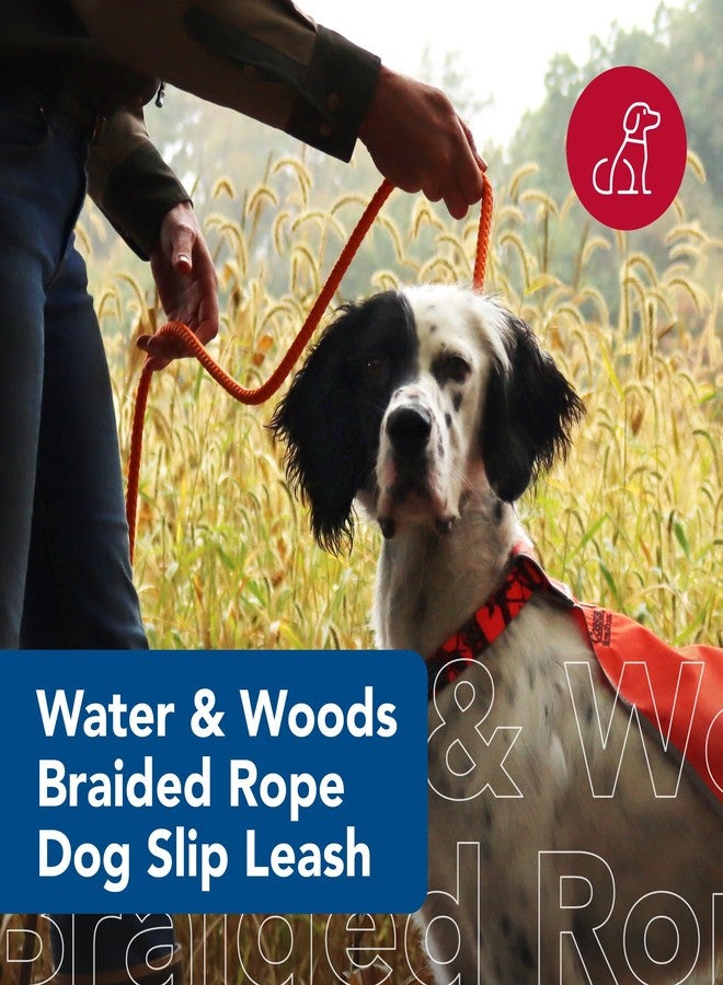 Coastal Water & Woods Braided Rope Dog Slip Leash by Coastal Pet - Heavy-Duty Dog Leash - Comfortably Accommodate Various Sizes - Easy Slip Design - Green & White, 1/2" x 6' - Image 2