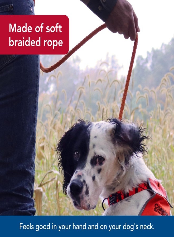 Coastal Water & Woods Braided Rope Dog Slip Leash by Coastal Pet - Heavy-Duty Dog Leash - Comfortably Accommodate Various Sizes - Easy Slip Design - Green & White, 1/2" x 6' - Image 3