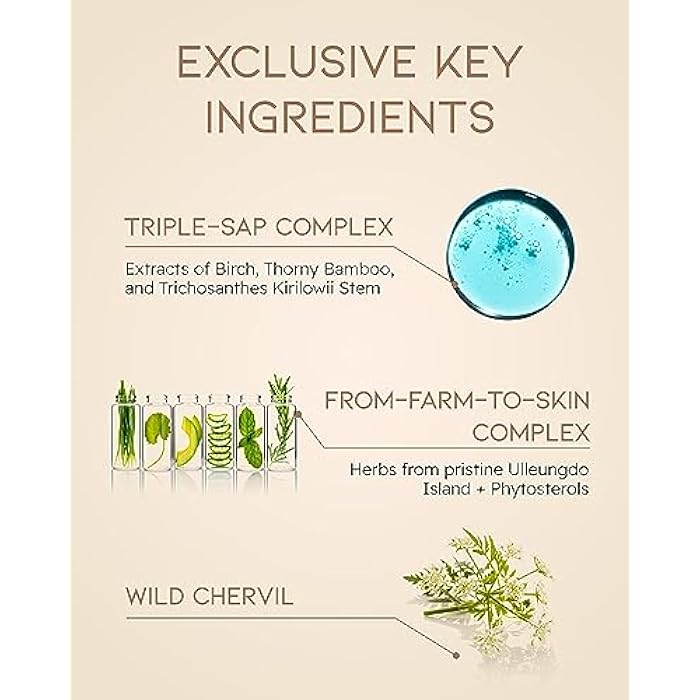 ECO BEYOND Beyond Skincare Gift Set (11.3fl oz) - Vegan Formula Korean Skin Care. Toner & Lotion for Hydration, Soothing. Hyaluronic Acid, Tree Sap Complex. - Image 3