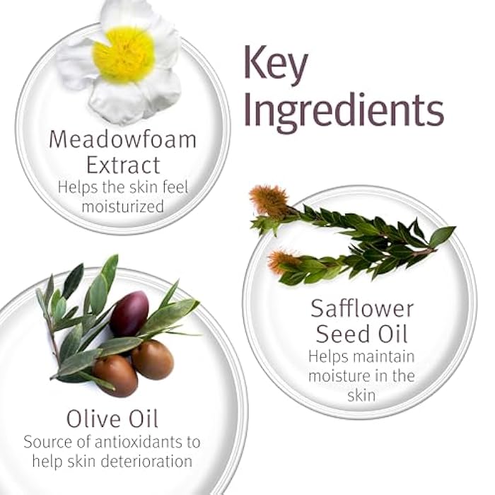 Epionce Renewal Facial Cream – Hydrating Anti-Aging Moisturizer | For Dry, Sensitive to Normal Skin | Fine Lines & Wrinkles | Dermatologist Skincare - Image 5