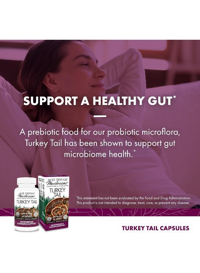 Fungi Perfecti Host Defense Turkey Tail Cellular Support - Image 3