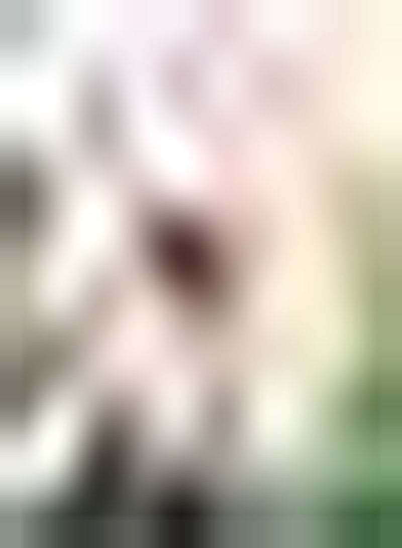 GGOOT 2pcs Roze Dahliabollen Tuinlandschap Gemakkelijke Plant Vaste Plant Kruid Sterk aanpassingsvermogen aan omgeving Hoge sierwaarde Beginnersvriendelijk - Image 1