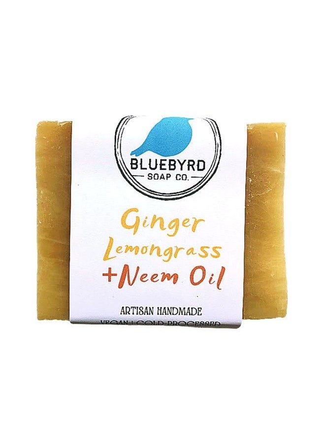 BLUEBYRD SOAP CO. Ginger Lemongrass All Natural Soap Bar With Neem Oil | Cleansing Beauty Bar Soap Scented With 100% Essential Oils | Neem For Eczema Prone Skin Psoriasis And Acne 5Oz. (Ginger)  - Image 2