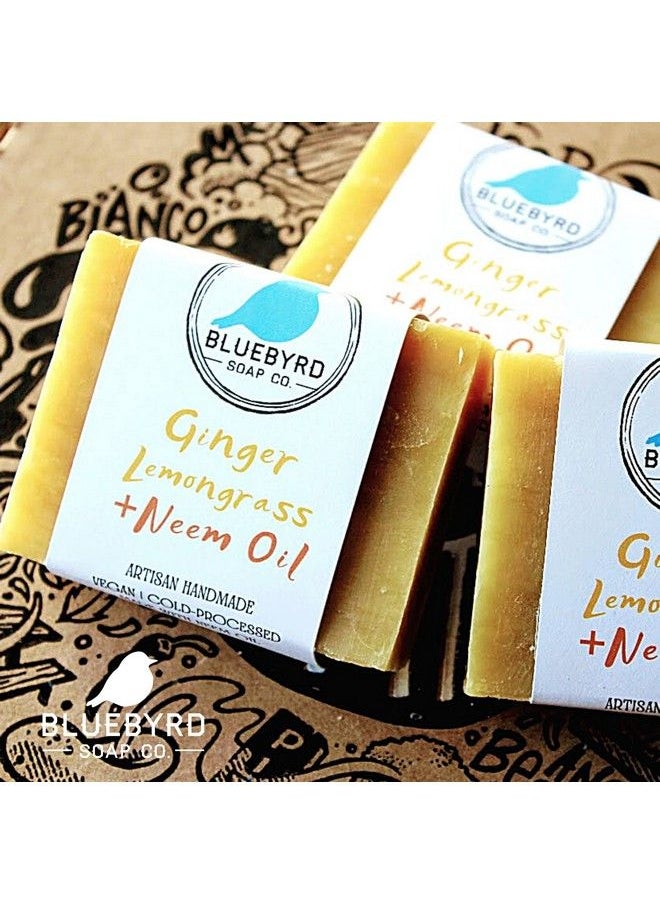 BLUEBYRD SOAP CO. Ginger Lemongrass All Natural Soap Bar With Neem Oil | Cleansing Beauty Bar Soap Scented With 100% Essential Oils | Neem For Eczema Prone Skin Psoriasis And Acne 5Oz. (Ginger)  - Image 3
