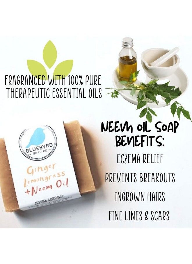 BLUEBYRD SOAP CO. Ginger Lemongrass All Natural Soap Bar With Neem Oil | Cleansing Beauty Bar Soap Scented With 100% Essential Oils | Neem For Eczema Prone Skin Psoriasis And Acne 5Oz. (Ginger)  - Image 4