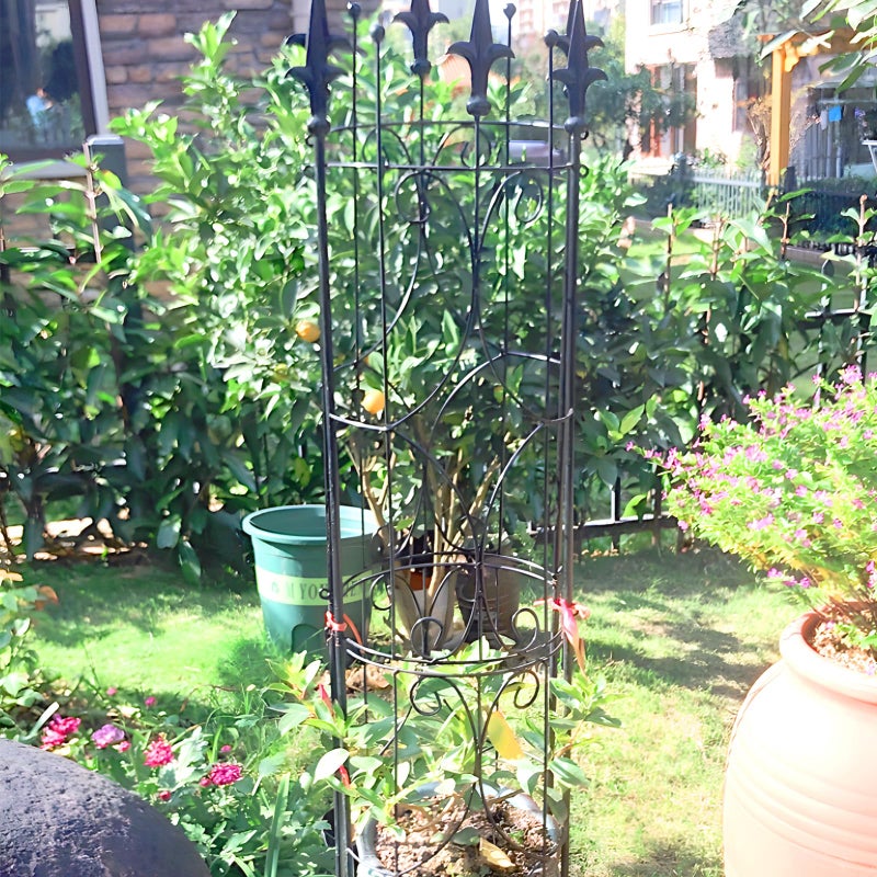 Thealyn Garden Trellis 2 Pack 72'' H x 12'' W Metal Plant Trellis Indoor/Outdoor Metal Garden Trellis Plant Trellis for Potted Plants Climbing Houseplants Flowers - Image 5