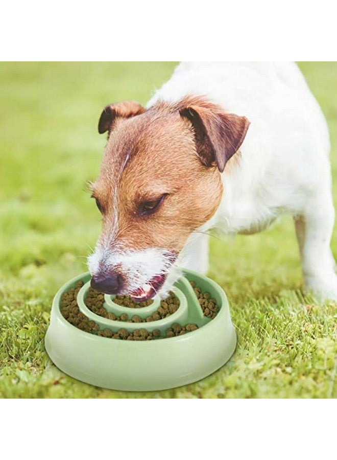 وعاء تغذية بطيء للحيوانات الأليفة - وعاء طعام غير قابل للانزلاق ولا يسبب الاختناق (قد يختلف اللون) - عبوة من قطعة واحدة - Image 1