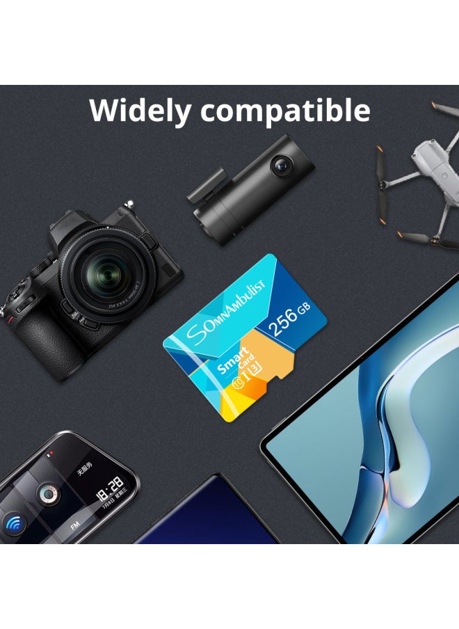 Direct 64G Memory Card 32GB 128G TF Card 16GB Camera Monitoring Dedicated Memory-Color:TF170 TF SomnAmdulist Color Card-Capacity:2GB