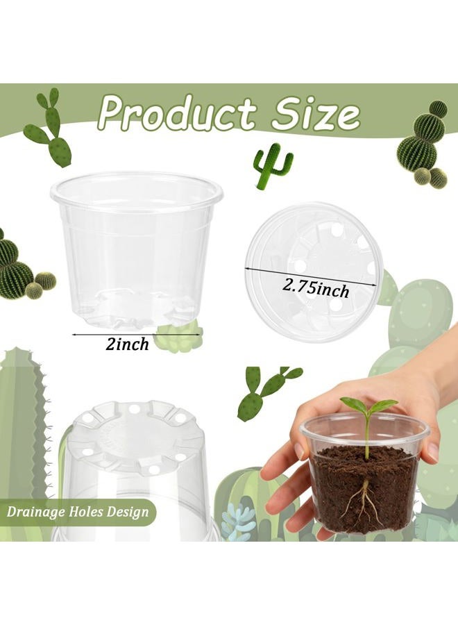 Tinsky 200 Pcs 2 Inch Clear Nursery Pots with Drainage Holes Mini Plastic Plant Pots for Seedling Seeds Germination Transplanting Seeds Starter Planting Indoor Outdoor Succulent - Image 4