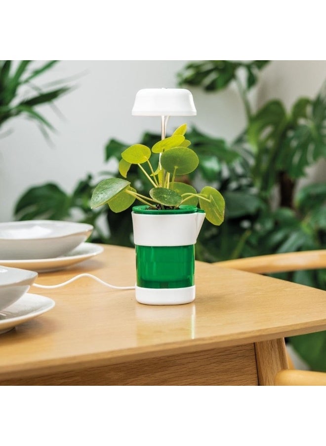 Generic SAFENHAND Indoor Self-Watering Plant Pot With LED Lights, Ideal for Indoor and Outdoor Plants, Perfect for Home and Office Decor  - Image 3
